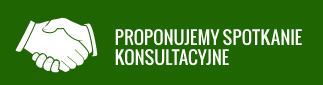 PROPONUJEMY SPOTKANIE KONSULTACYJNE